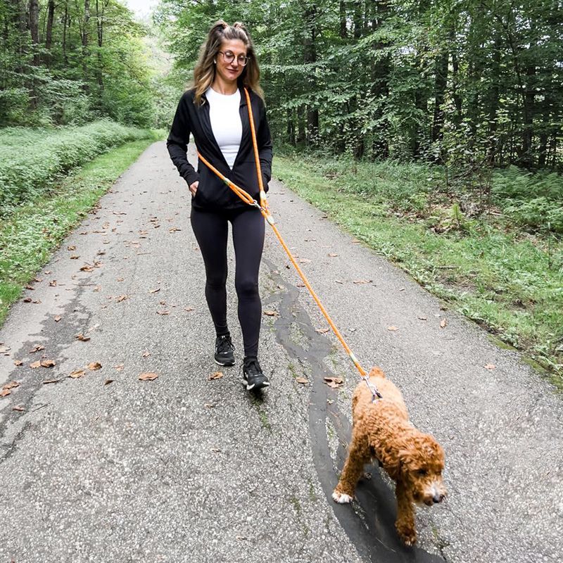 Running Gear Holder - ハイキング、ウォーキング、ランニング用の反射型ハンズフリー犬用リード - 小型犬と大型犬用の調節可能なウエスト＆クロスボディリード - 衝撃吸収と快適性のためのバンジーリード