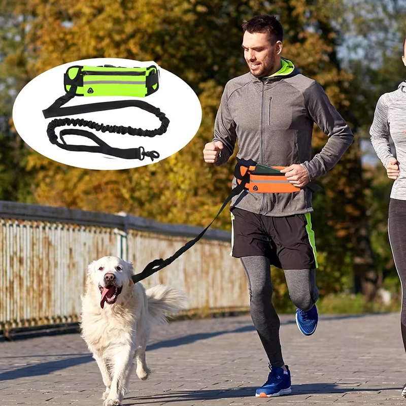 ハンズフリー犬用リード ランニング ウォーキング用 反射リー - Running Gear Holder のレビューと価格