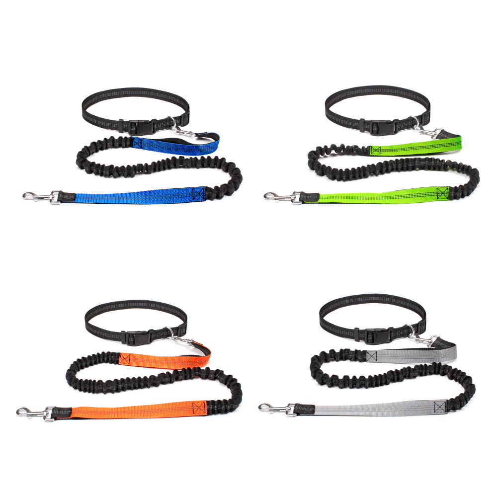 ハンズフリー犬用リード ペットの散歩、ランニング、ジョギング - Running Gear Holder のレビューと価格